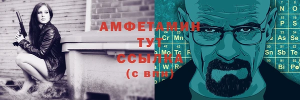 стаф Аркадак