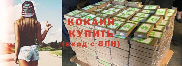 стаф Аркадак